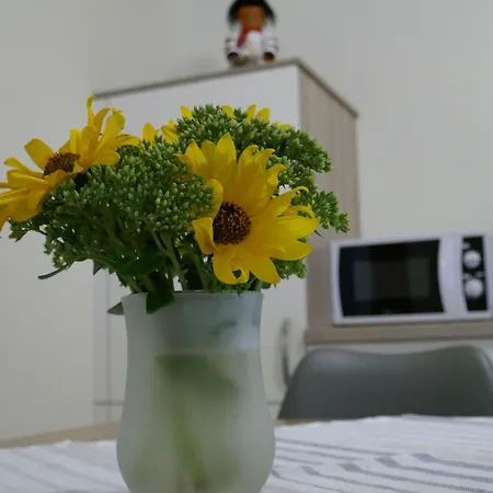 Apartmán Im Hof *